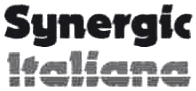 Synergic Italiana
